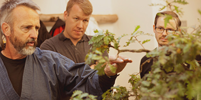 Bonsai Seminar mit Werner Busch