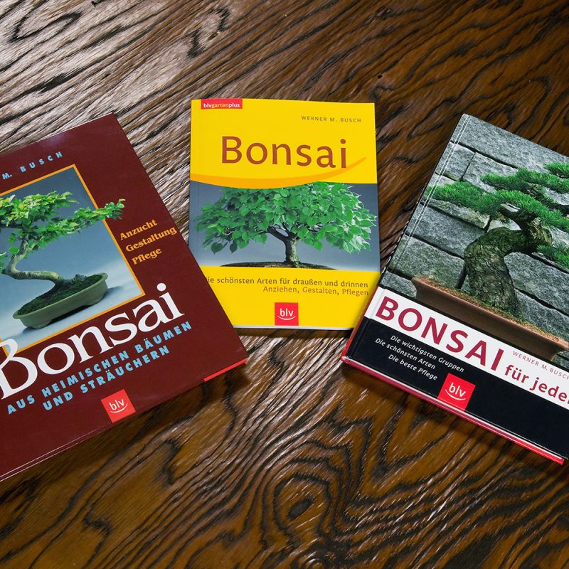 Bonsai-Literatur