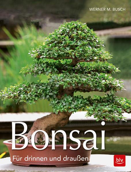 Bonsai " Für drinnen und draußen" bei Werner M. Busch
