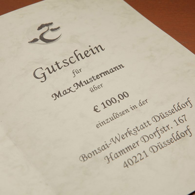 Geschenk - Gutschein