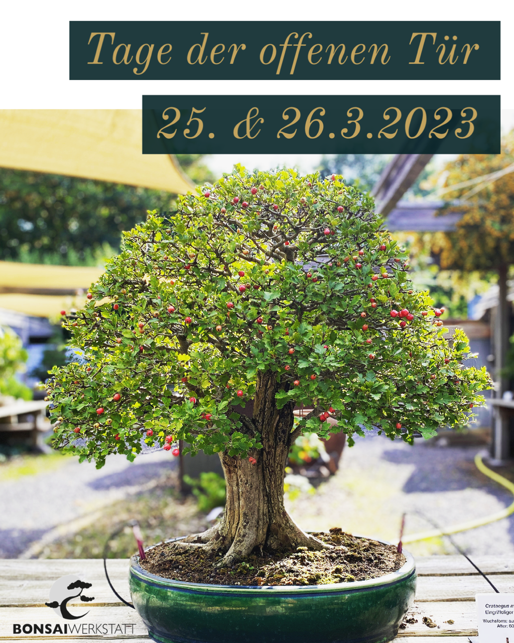 Tage der offenen Tür 2023