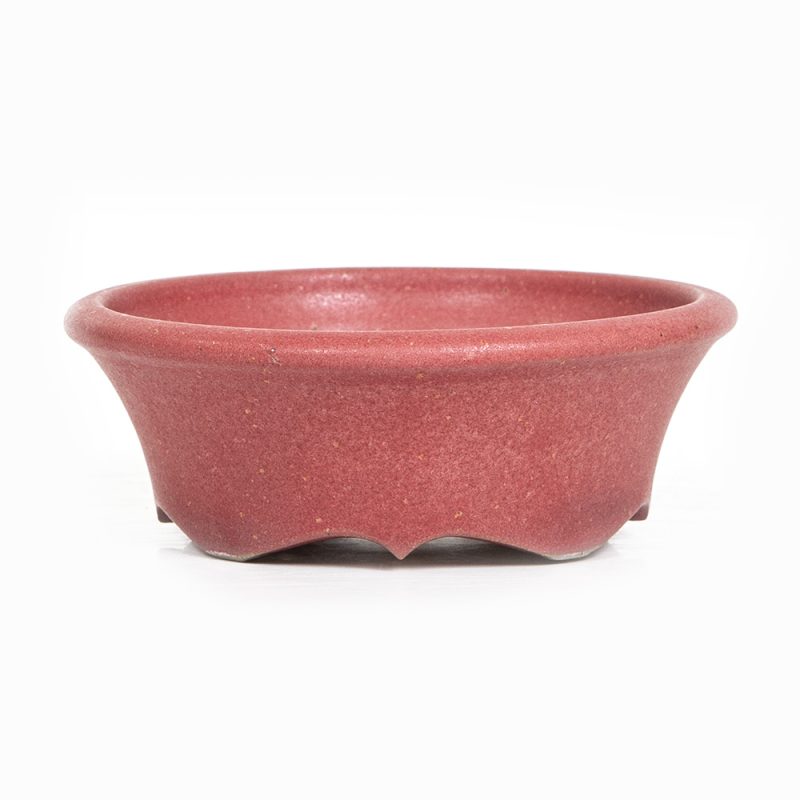 Bonsaischale 11 cm von Roman Husmann