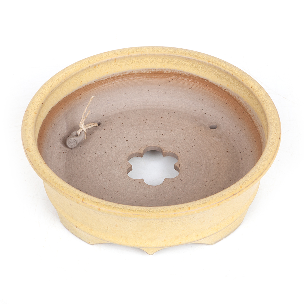 Bonsaischale 17 cm von Roman Husmann – Bild 4