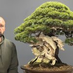 Mauro Stemberger neben einem Taxus cuspidata